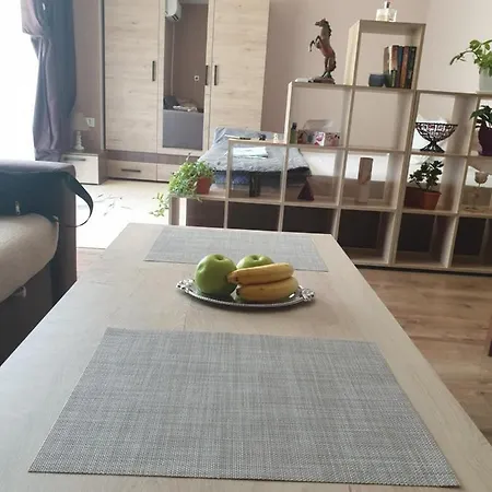 Студио Париж Apartment Plovdiv